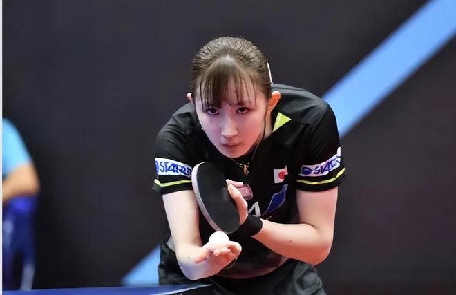 尔与樊振东 尔与樊振东