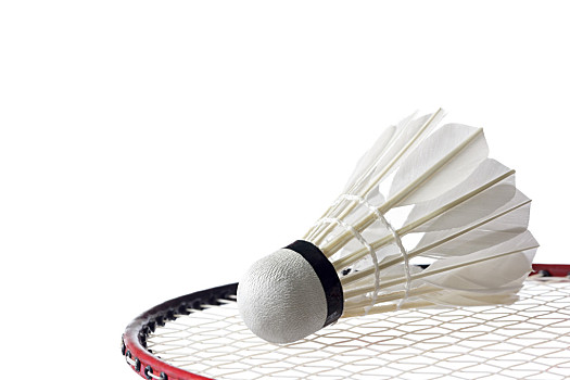 典型案例解 典型案例解