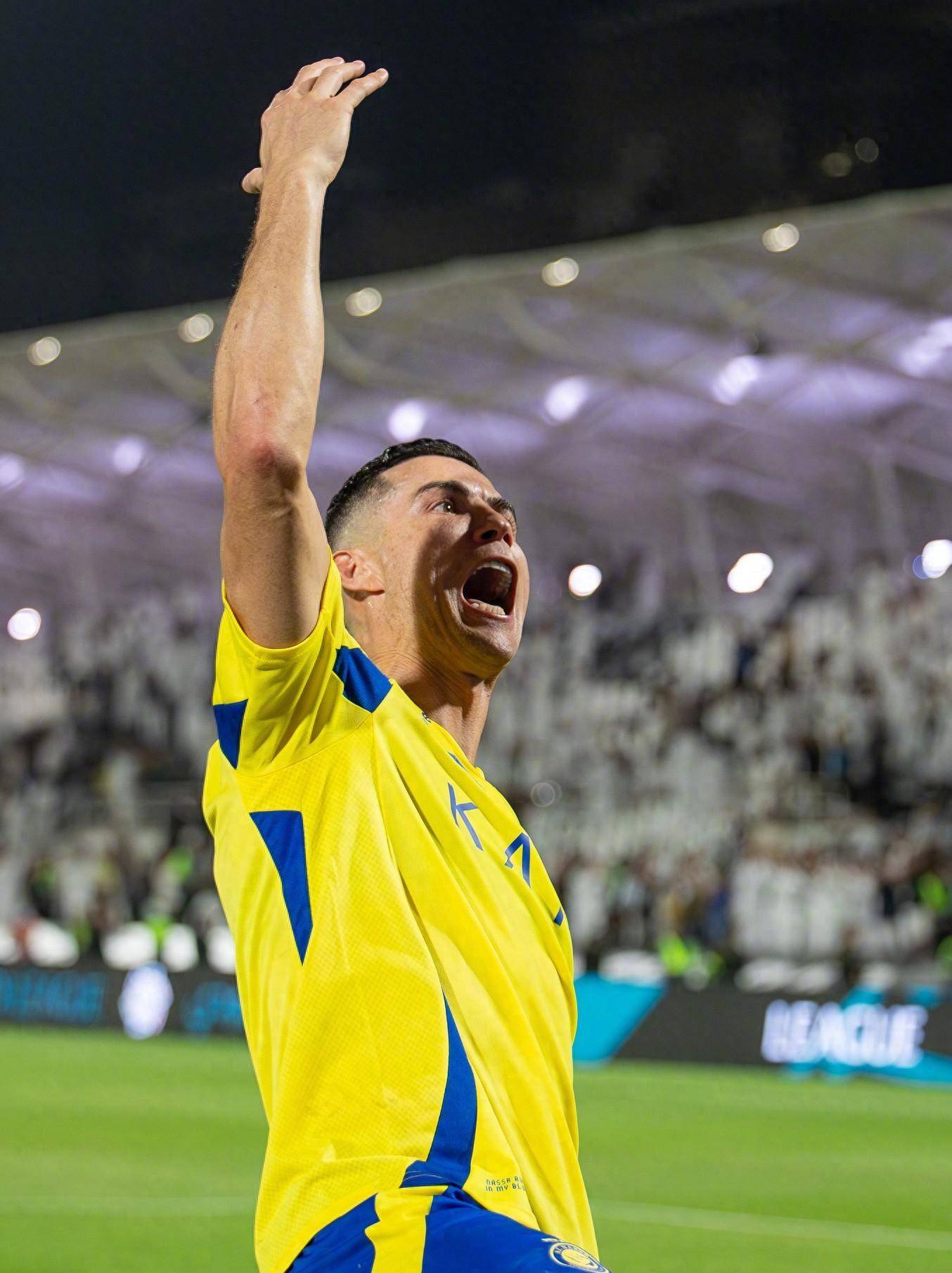 和攻击性 和攻击性