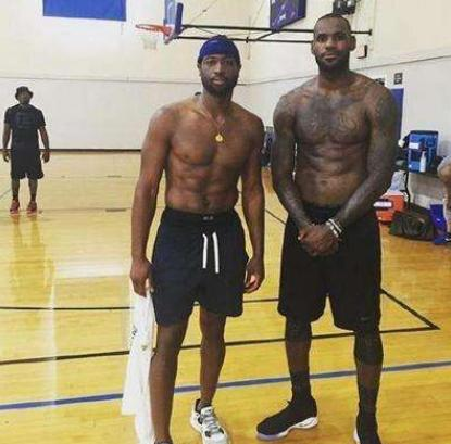 哈里斯的 哈里斯的